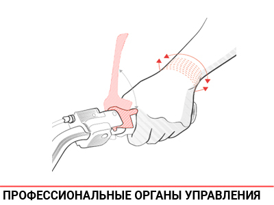 Профессиональные органы управления